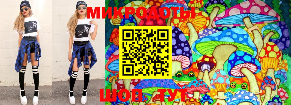 Ачхой-Мартан  цены наркотик  Вход с VPN  Галлюциногенные грибы Psilocybe 